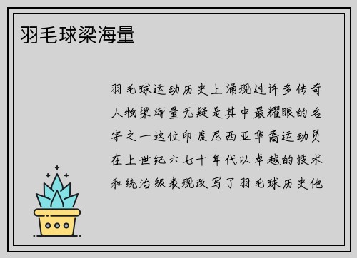 羽毛球梁海量